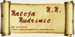 Mateja Mudrinić vizit kartica